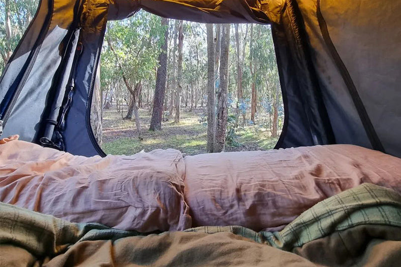 Uitzicht vanuit de daktent op het bos – wakker worden in de natuur