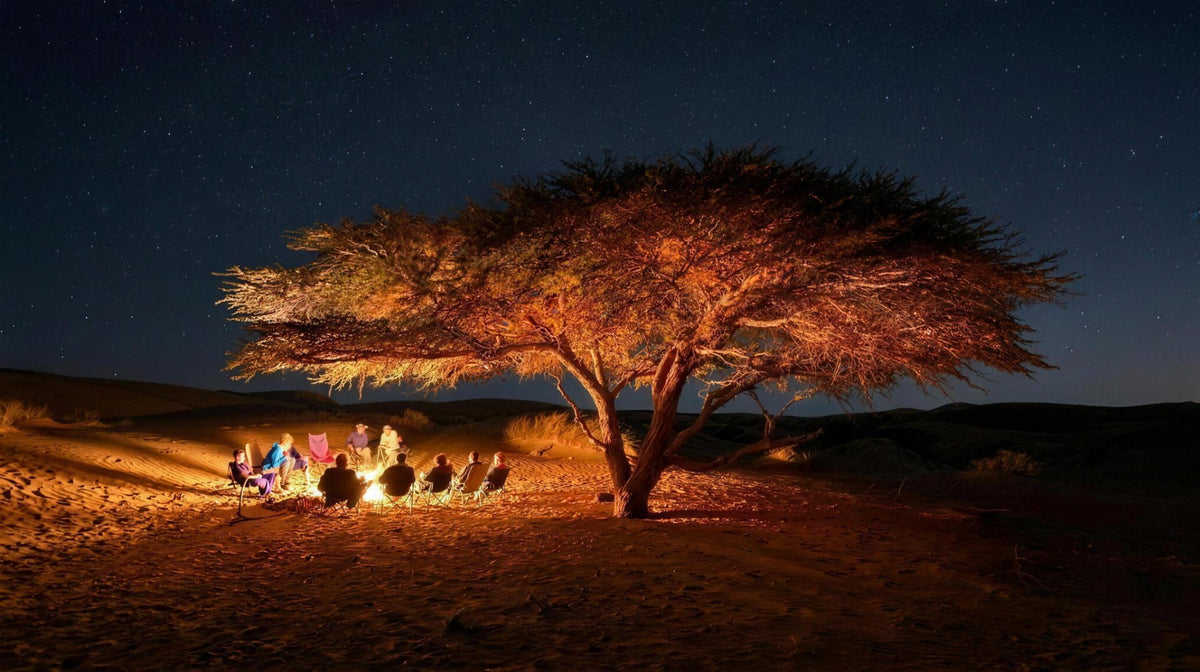 Campfire under an acacia in the desert